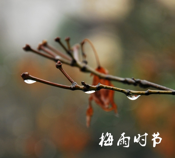 梅雨季節(jié)理家有方 家居裝修要做好防潮