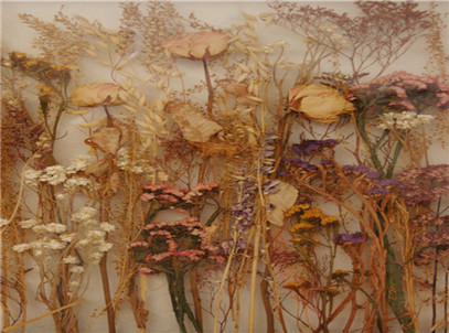 剛經(jīng)過(guò)家裝公司裝修完后的衛(wèi)生間去除異味技巧